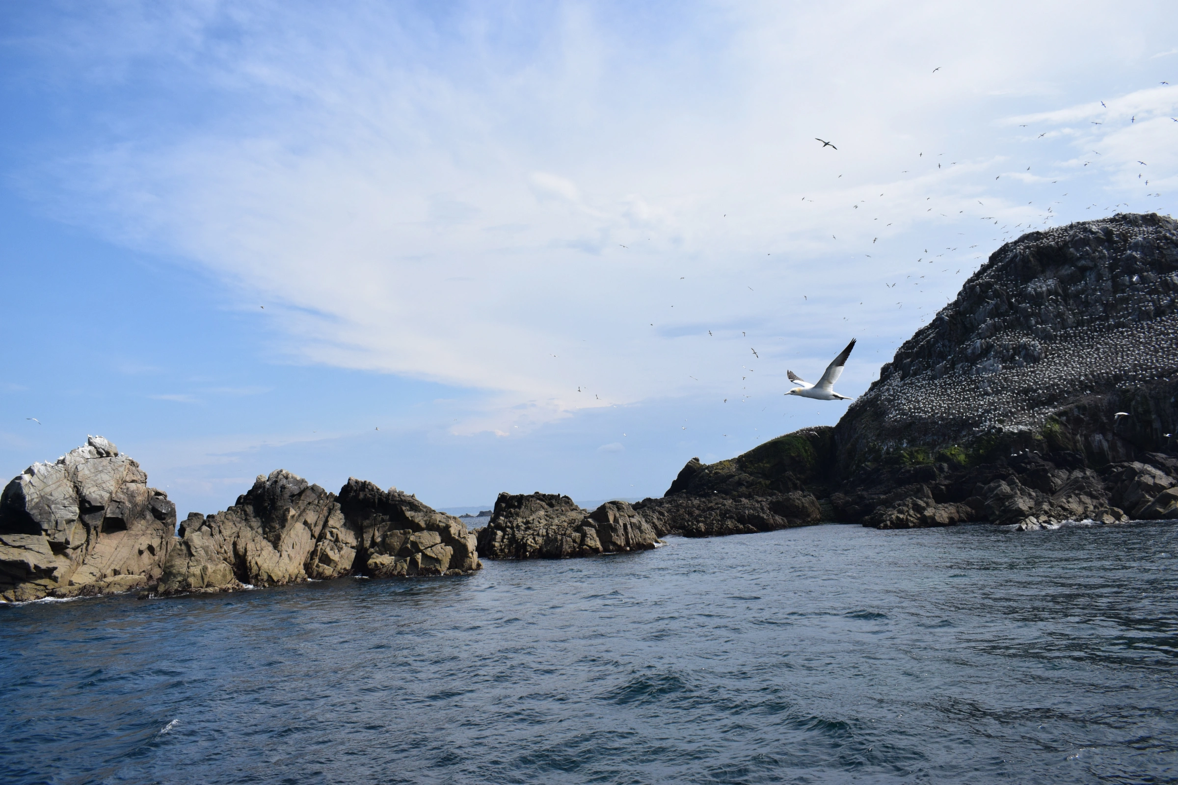 L'Île-des-Pins[1].webp